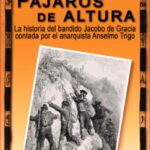 Pájaros de altura
